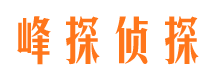 阳高市调查公司